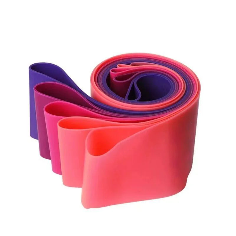 Sassfit Elastic Resistance Bands