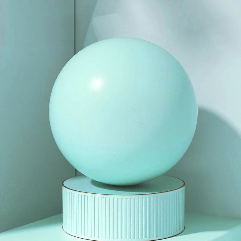 Sassfit Yoga Ball